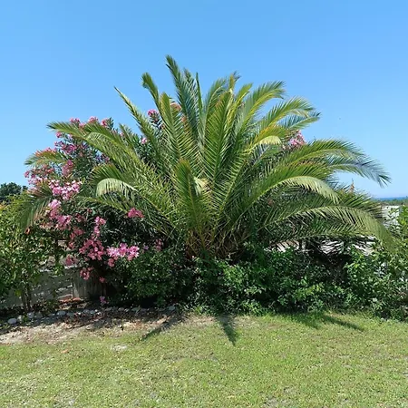 Alonia Summerhouse In Fanes Дом отдыха Фанай