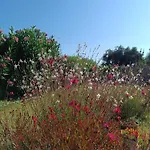 Alonia Summerhouse In Fanes Сasa de vacaciones