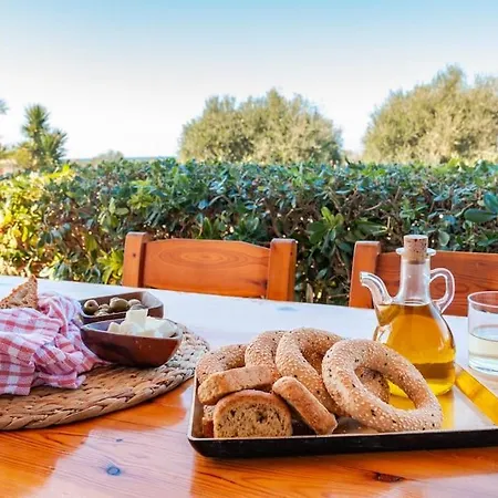 Alonia Summerhouse In Fanes Ferienhaus *