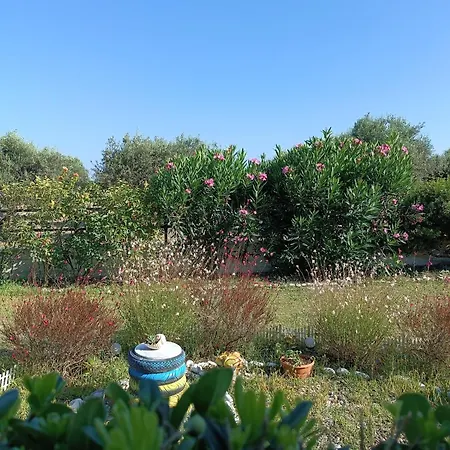 Alonia Summerhouse In Fanes