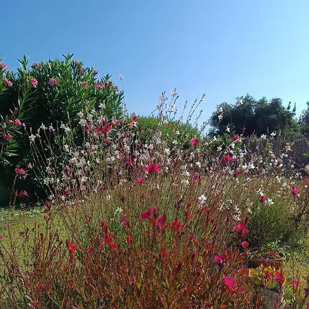 Alonia Summerhouse In Fanes Feriehus