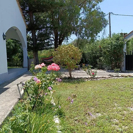 Feriehus Alonia Summerhouse In Fanes *